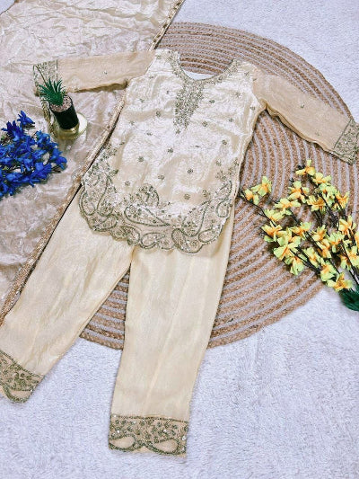 Kids Ethnic Embroidery Salwar Punjabi Suit