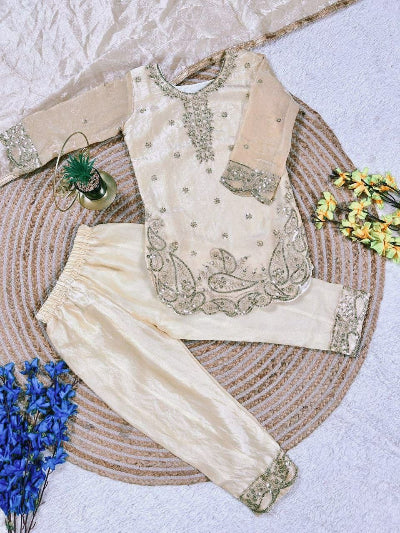 Kids Ethnic Embroidery Salwar Punjabi Suit