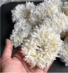 Gajra Hair Veni Bun Flowers - BONYHUBHair Accessories