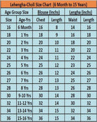 Kids Green & Pink Organza Lehenga Blouse Set UK Next Day - BONYHUBLehangas