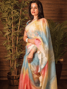 Multicolor Soft Organza Bollywood Saree - BONYHUBSAREE
