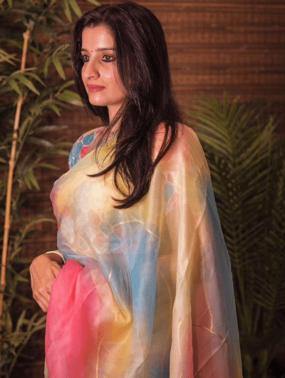 Multicolor Soft Organza Bollywood Saree - BONYHUBSAREE