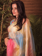 Multicolor Soft Organza Bollywood Saree - BONYHUBSAREE