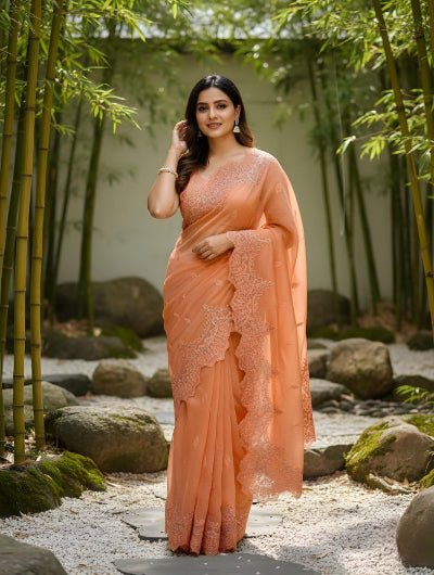 Pastel Organza Silk Sari with Unstiched Blouse