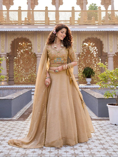 Gold Embroidery Lehenga Choli Set