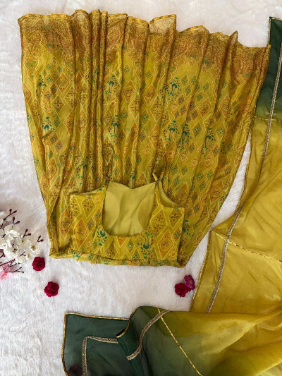 Olive Mustard Green Organza Sleeveless Gown with Dupatta Set Of 2