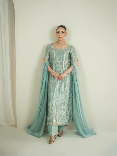 Powder Blue Soft Tissue Silk Embroidered Straight Suit