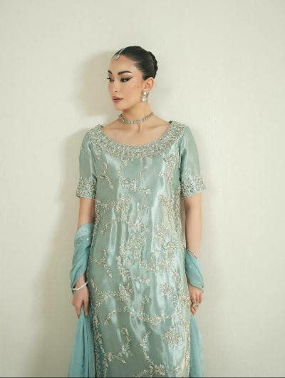 Powder Blue Soft Tissue Silk Embroidered Straight Suit