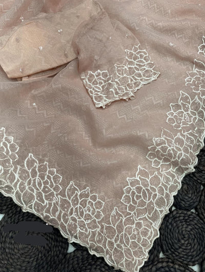 Soft Beige Embroidered Ready to Wear Sai with Stitched Blouse