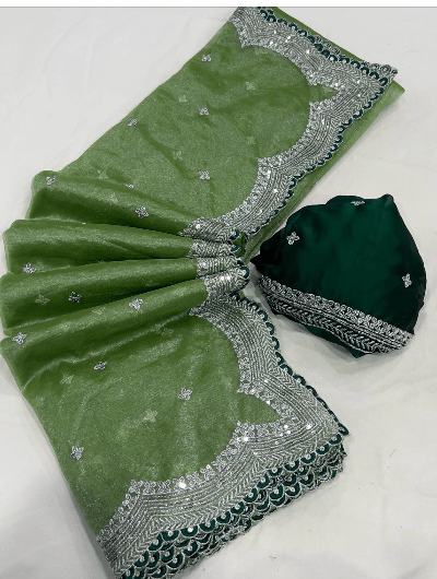 Sequence Wedding Embroidered Saree - BONYHUBSAREE